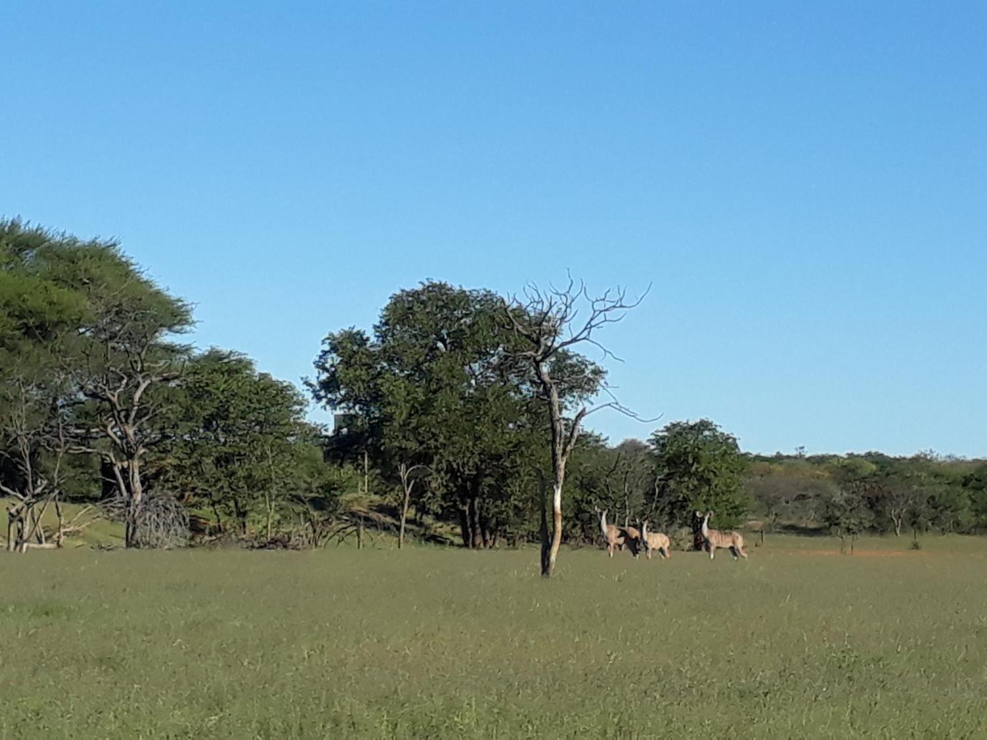 Onduri Lodge Outjo Luaran gambar